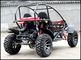 250cc Go Kart Dune Buggy Racing Kart For Adult With 2 Big Head Lights