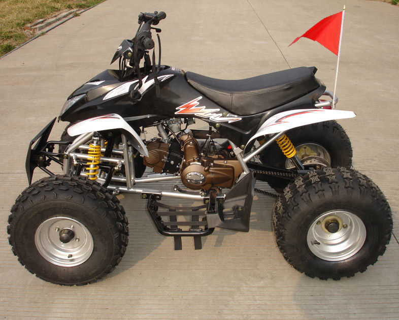 ขนาดกลางสี่ล้อ ATV 110cc อัตโนมัติพร้อมระบบเบรคดรัมเบรคคู่หน้า