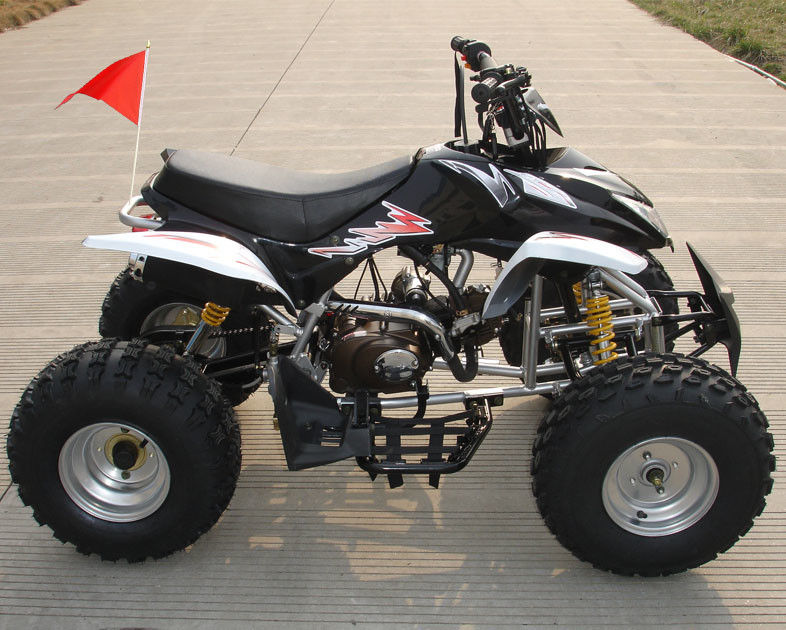 ขนาดกลางสี่ล้อ ATV 110cc อัตโนมัติพร้อมระบบเบรคดรัมเบรคคู่หน้า