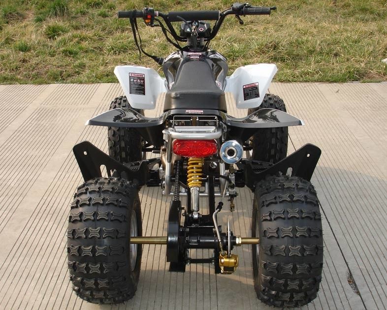 ขนาดกลางสี่ล้อ ATV 110cc อัตโนมัติพร้อมระบบเบรคดรัมเบรคคู่หน้า