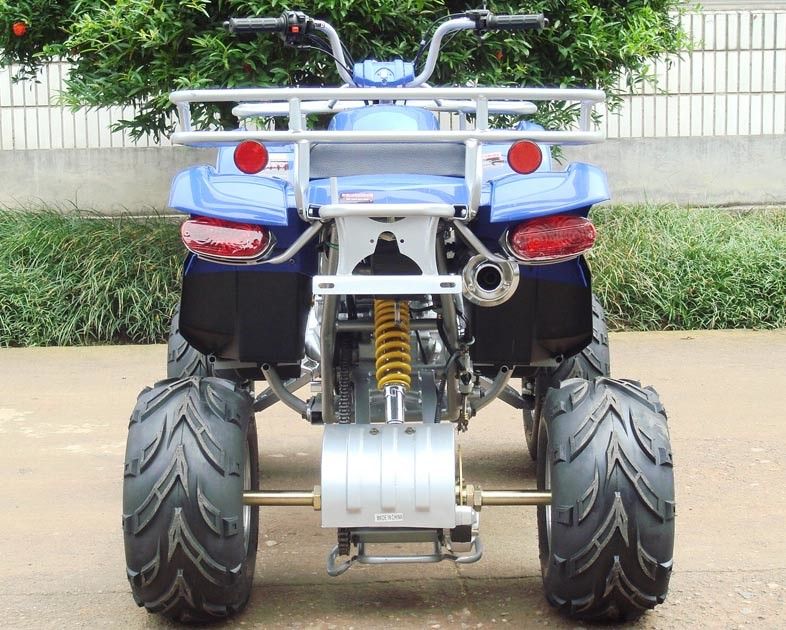 Front Double A - Arm ยานพาหนะอเนกประสงค์ ATV 250cc พร้อมคลัทช์ 8 นิ้ว Manual 4-Speed ​​+ Reverse