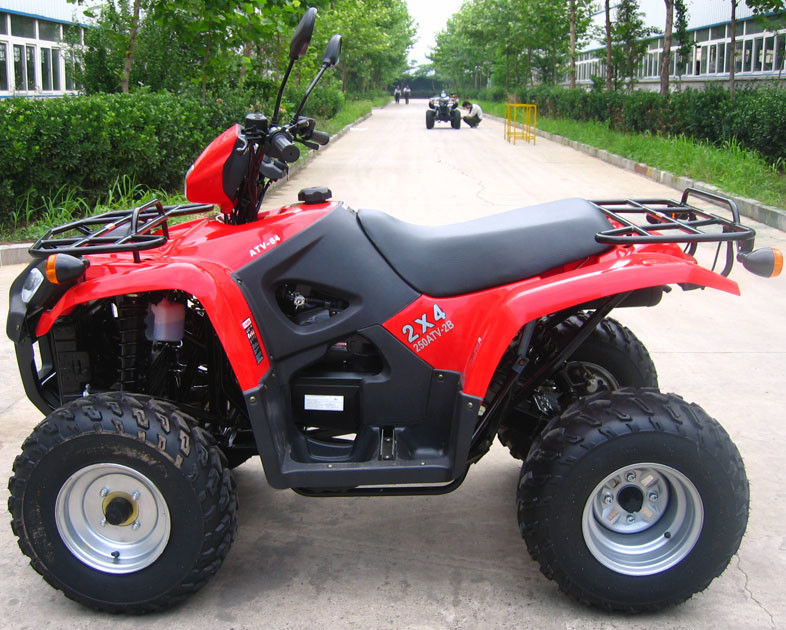 Oil Cooled Youth Racing Atv 260cc พร้อมเกียร์ถอยหลังขนาดใหญ่ / ภายในกล่องเกียร์