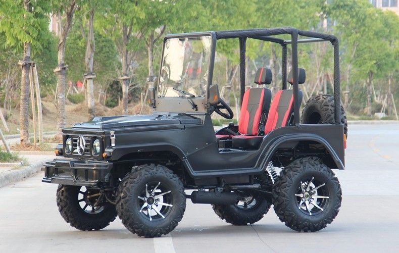 Mini Jeep 4WD Racing ATV กีฬา Go Kart Buggy สำหรับผู้ใหญ่, 300cc Go Kart