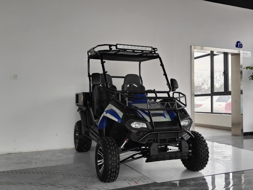 รถยนต์ประเภทน้ํามัน 200EUX (EFI) Utv CTV อัตโนมัติ