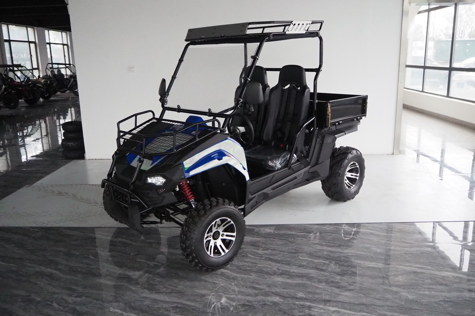 รถยนต์ประเภทน้ํามัน 200EUX (EFI) Utv CTV อัตโนมัติ