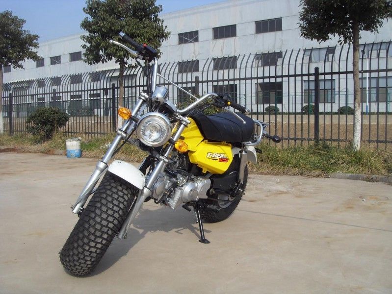 Skyteam T - Rex 125 125cc Mini Bike, รถจักรยานยนต์ 2 คนพร้อมเกียร์ 4 สปีด