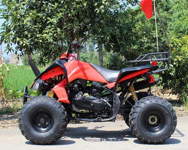 13.9HP Water Cooled Youth Racing รถ ATV 200cc 4 ล้อพร้อมจานเบรคด้านหลัง