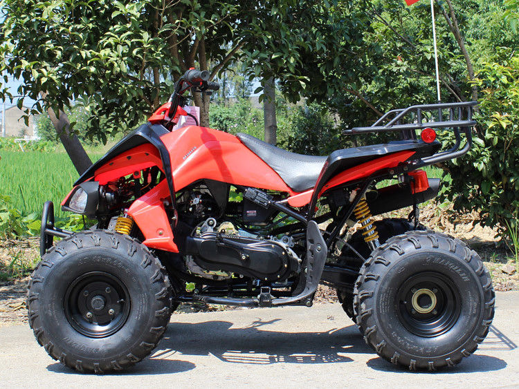 รถ ATV สี่ล้อ 200cc, ATV 8 