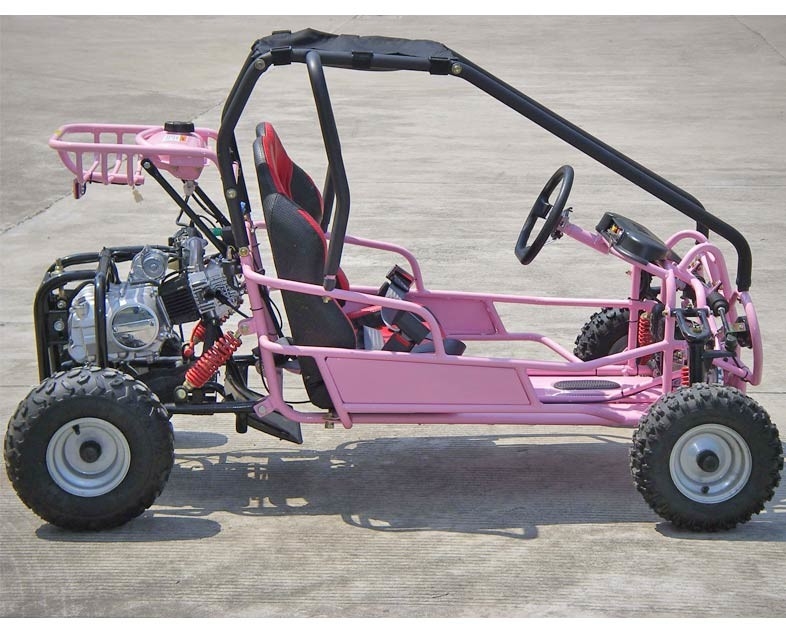 การใช้งานเบรกแบบเดินเท้า Go kart Buggy 4 Stroke CTV Electric Start Automatic พร้อม Reverse