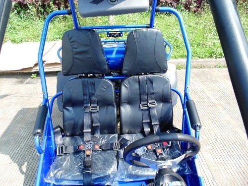 2.25 Gal 17.4 HP CDI จุดระเบิด 300cc CVT EFI Go Kart Buggy