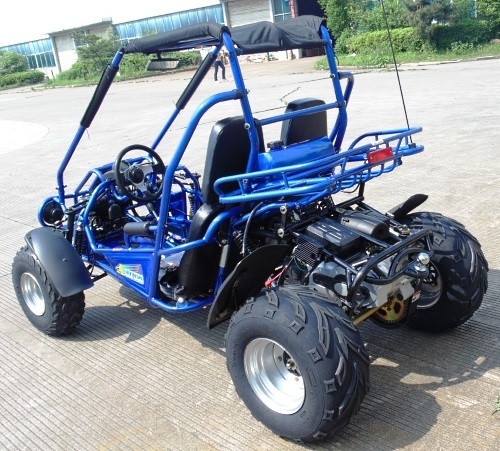 2.25 Gal 17.4 HP CDI จุดระเบิด 300cc CVT EFI Go Kart Buggy